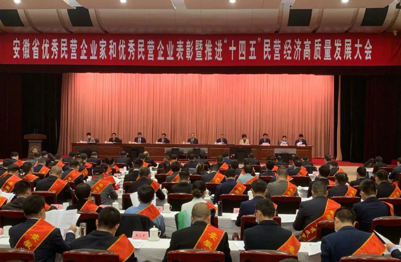 喜訊！元琛科技總經(jīng)理梁燕被授予“安徽省優(yōu)秀民營(yíng)企業(yè)家”稱號(hào)